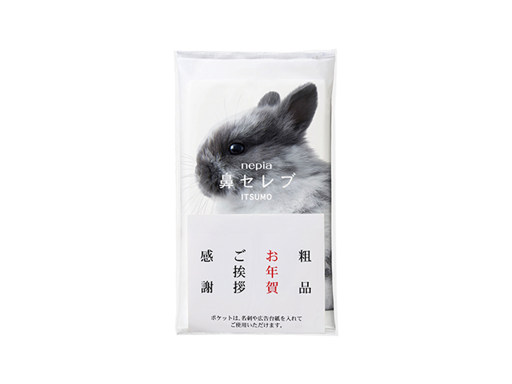 ネピア 鼻セレブ ITSUMO48W（名刺ポケット付）